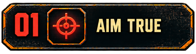 01 — AIM TRUE